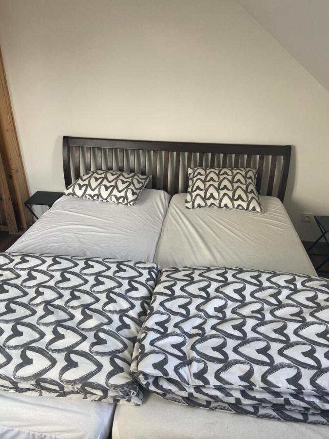 Appartement Horsky Apartman Pod Jestedem à Liberec Extérieur photo